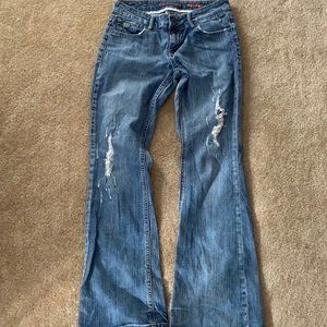 Chip and Pepper Laguna Beach flare jean size 7